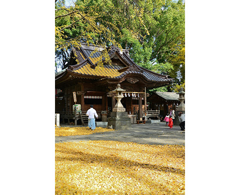 田無神社（本殿・拝殿）の画像