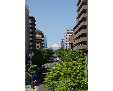 富士見テラスの画像