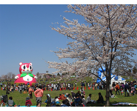 舎人公園千本桜まつりの画像